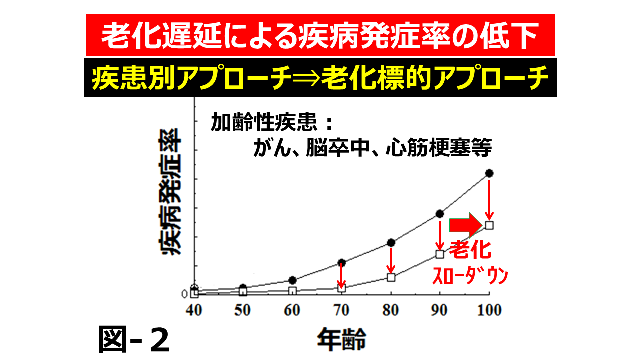 老化をスローダウン